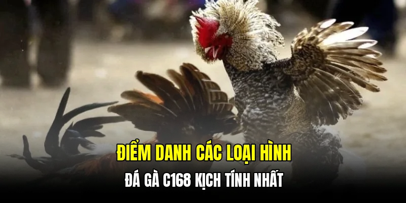 Điểm danh các loại hình đá gà C168 kịch tính nhất