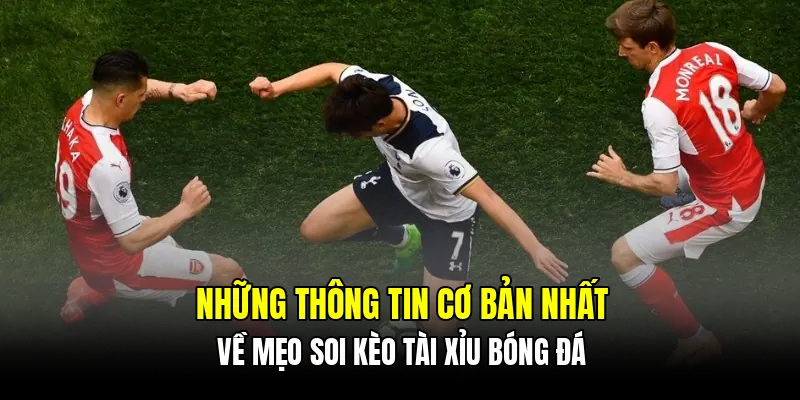 Những thông tin cơ bản nhất về mẹo soi kèo tài xỉu bóng đá