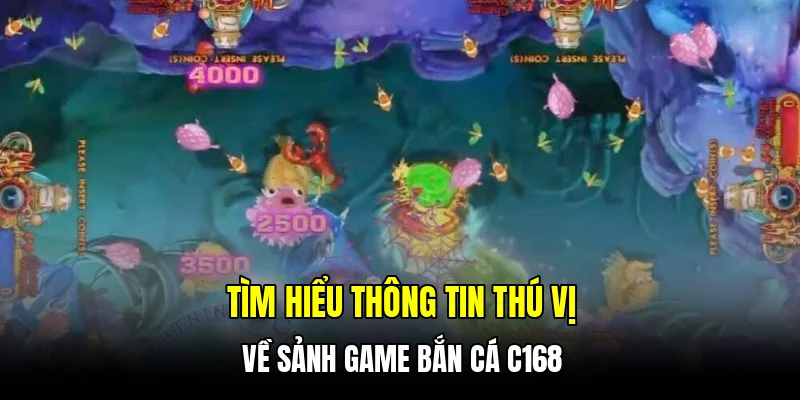 Tìm hiểu thông tin thú vị về sảnh game bắn cá C168